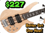Better Get  One Now! Bullfighter 5-String Bass for Under $300!